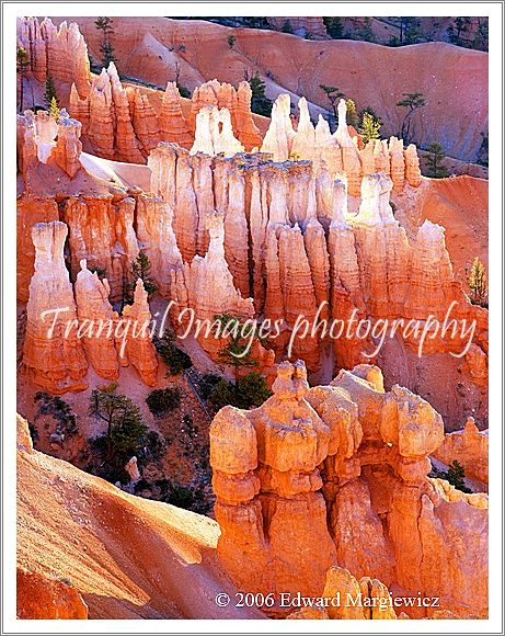 450330   Bryce National Park 